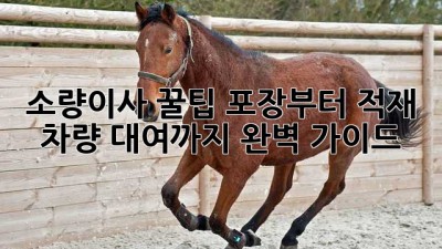 소량이사 꿀팁🍯: 포장부터 적재, 차량 대여까지 완벽 가이드!