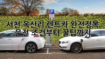 서천 옥산리 렌트카 완전정복!🚗 운전 조건부터 꿀팁까지🍯