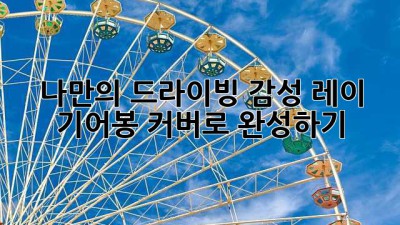 나만의 드라이빙 감성, 레이 기어봉 커버로 완성하기 ✨